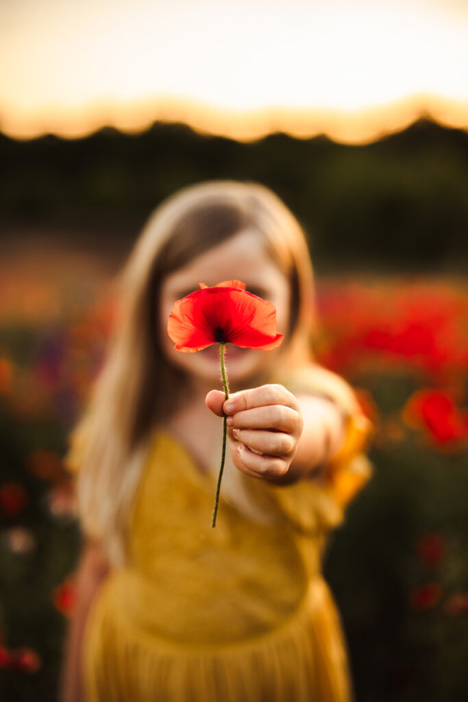 Family Photographer, girl holds up a flower plucked from a field of flowers